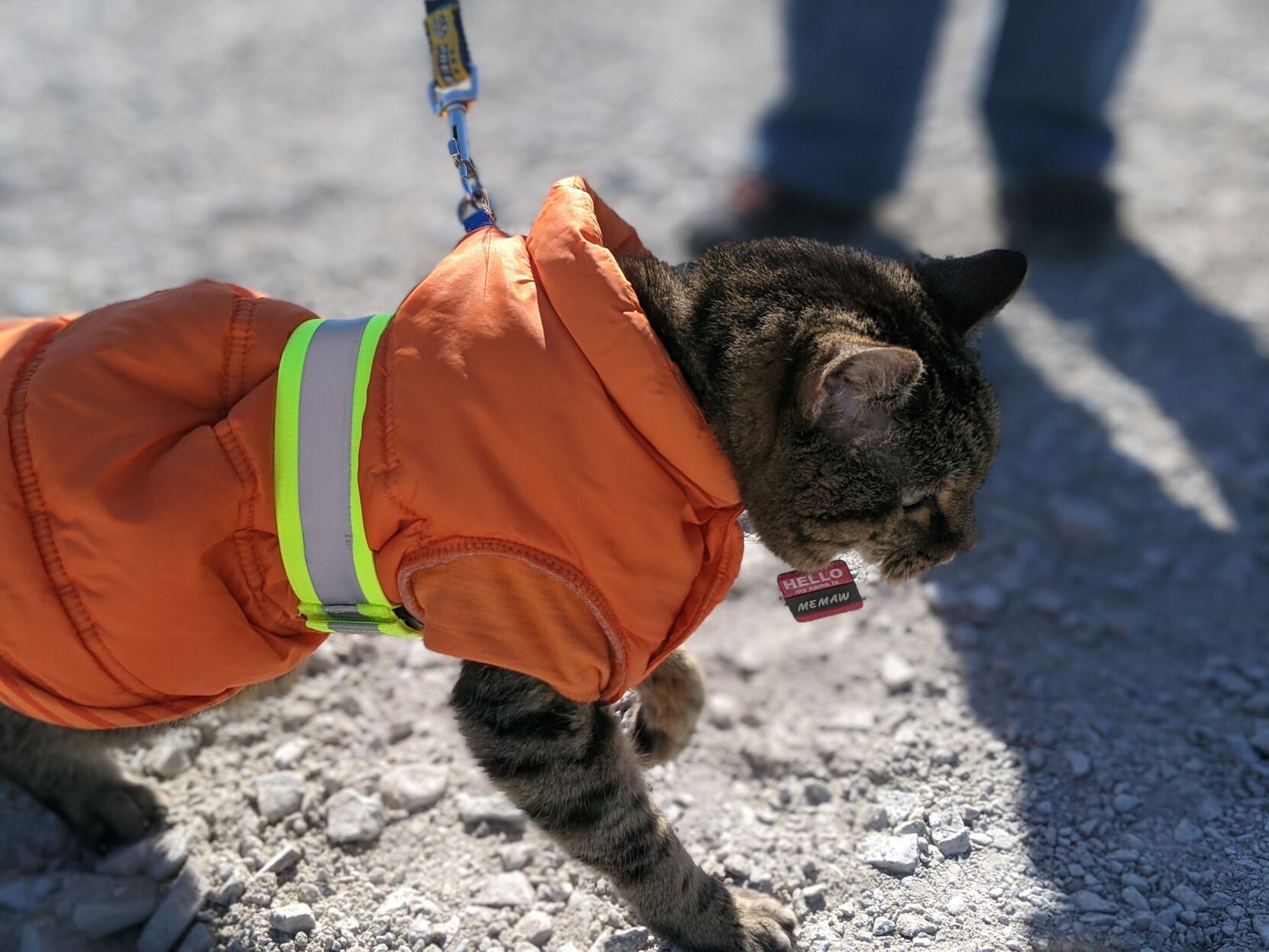Williamson County Animal Center groundbreaking